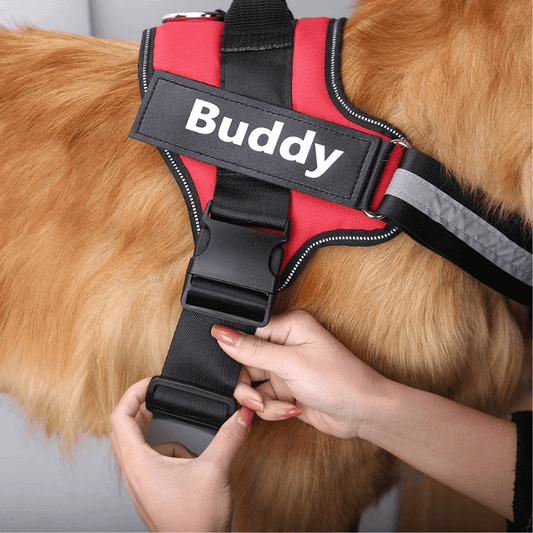 GoodTail™ Personalised No Pull Dog Harness